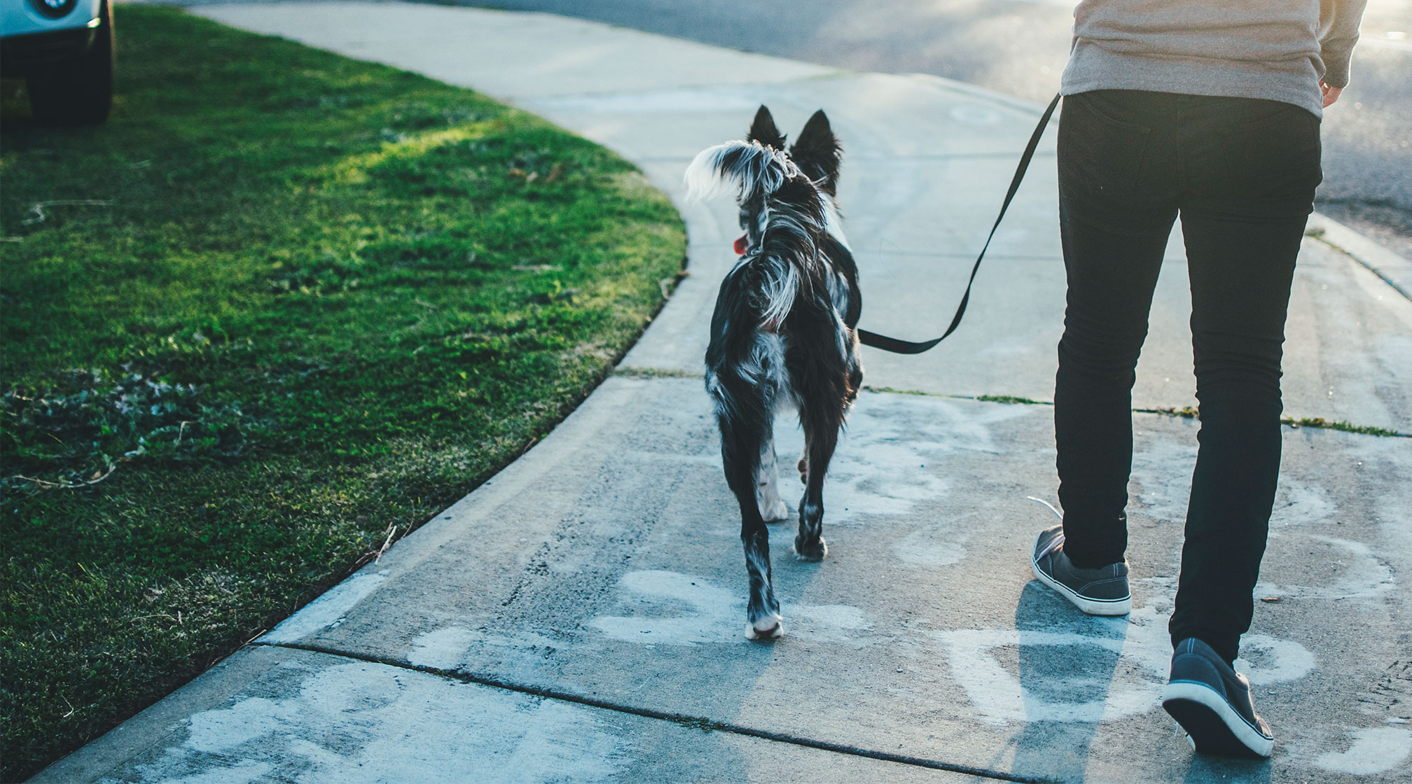Egy férfi kutyáját sétáltatja egy kertvárosi utcán