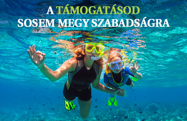 alt text banner-2